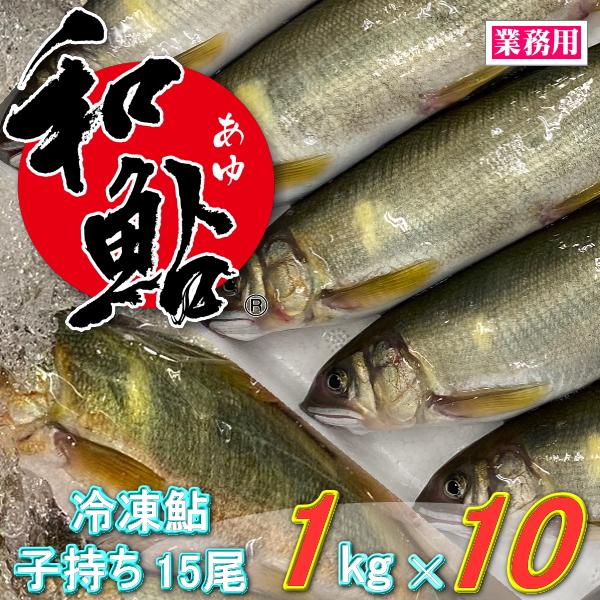 冷凍 子持ち 鮎 (あゆ) 15尾/1kg×10/cs【愛知県産 養殖鮎・魚介類】 魚 食品 冷凍食...