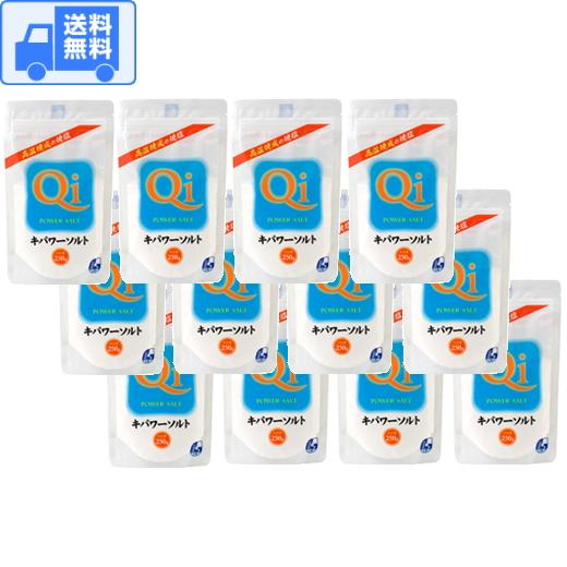 キパワーソルト ２５０ｇ 【１２袋入】 全国一律・送料無料 です！