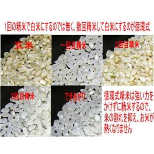 米 米5kg コシヒカリ 白米 令和7年 会津...の詳細画像2