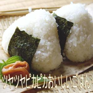 米 米5kg コシヒカリ 白米 令和7年 会津...の詳細画像3