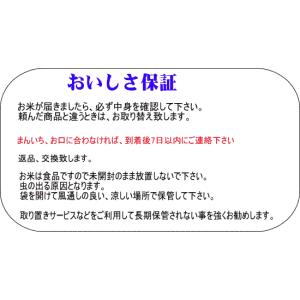 米 米5kg コシヒカリ 白米 令和7年 会津...の詳細画像4