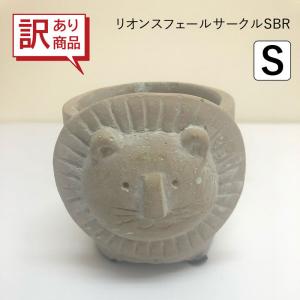 商品 植木鉢 リオンスフェールサークルSBR