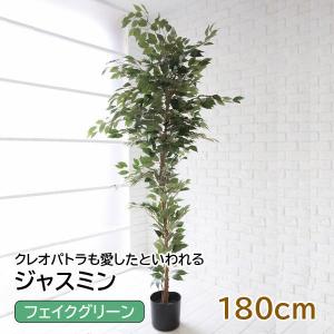 ジャスミン フェイクグリーン 人工 造花 人工観葉植物 　｜aifa