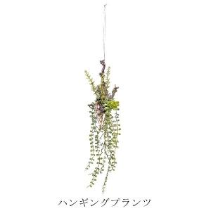 ハンギング 植物のランキングtop100 人気売れ筋ランキング Yahoo ショッピング