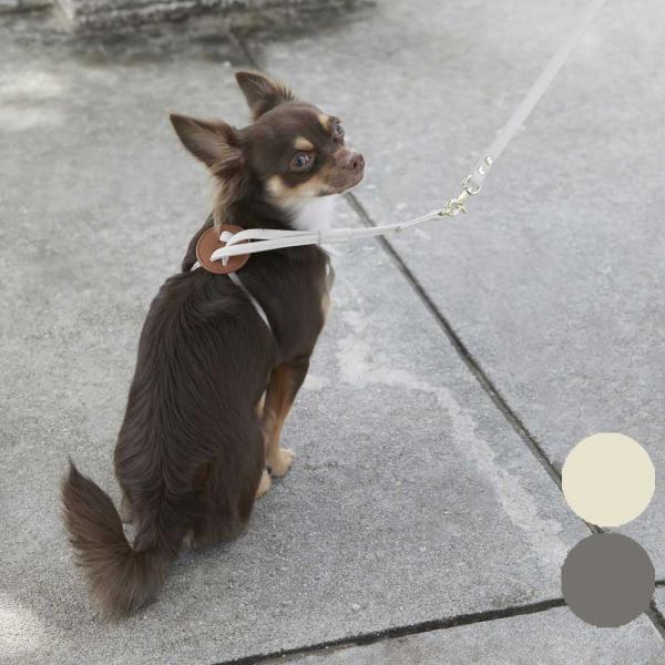 ヴィーガンレザー DOG リード Horn Please 志成販売