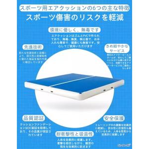 【9 月期間限定!ポイント 5 倍~】体操マッ...の詳細画像2