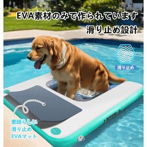 【新店オープン記念!ポイント 5 倍】犬用水上...の詳細画像3