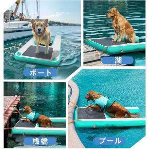【新店オープン記念!ポイント 5 倍】犬用水上...の詳細画像4
