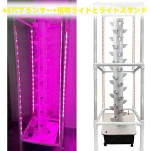 【ポイント3倍!特定商品!1月限定!】水耕栽培...の詳細画像2