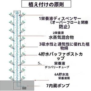 【ポイント3倍!特定商品!1月限定!】水耕栽培...の詳細画像3