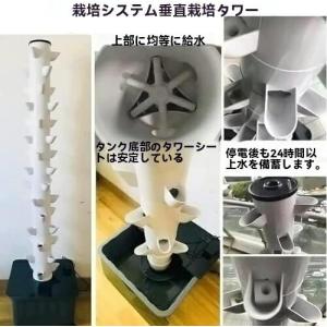 【ポイント3倍!特定商品!1月限定!】水耕栽培...の詳細画像4