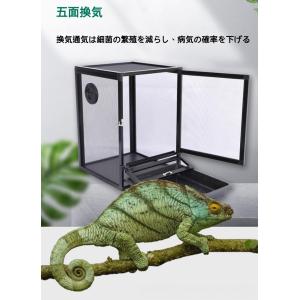 爬虫類 ケージ 両生類 通気性 カメレオン繁殖...の詳細画像2