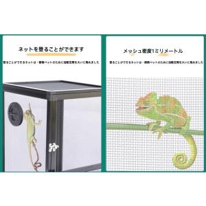 爬虫類 ケージ 両生類 通気性 カメレオン繁殖...の詳細画像4