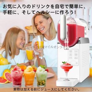 フローズンマシン ソフトクリームメーカー アイ...の詳細画像2