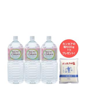 ビオライズ リナーシェ ドリンク ビオエンザイム 500ml : サンキュー