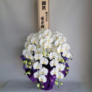 御供・仏用・胡蝶蘭　L ５本立　黄（造花）高９０×幅４５・光触媒。｜アイフラワー&グリーン