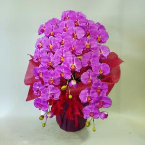 胡蝶蘭DXL/赤/３F（造花）高80×幅40・光触媒・ラッピングは無料でお付けしています。｜アイフラワー&グリーン