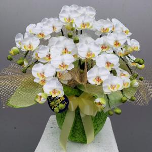 バラ1株立剣咲黄（造花）高約70cm×幅30cm 光触媒コーティング : アイ