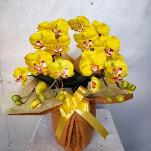 造花大型アレンジ・胡蝶蘭・オンシ・カトレア・MIX（高145cm巾75cm