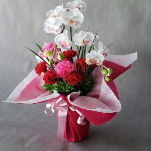 胡蝶蘭＆カーネションアレンジA-1（造花）｜アイフラワー&グリーン