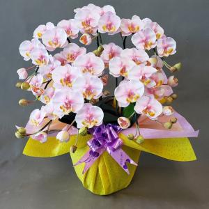 造花大型アレンジ・胡蝶蘭・オンシ・カトレア・MIX（高145cm巾75cm