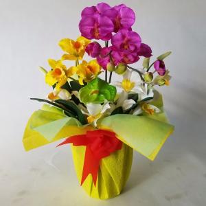 赤　胡蝶蘭Ｓ＆カトレアMIXアレンジ　（高4０ｃｍ巾２５ｃｍ）オリジナル、光触媒、造花，誕生日祝、結婚祝、等に）。　　　