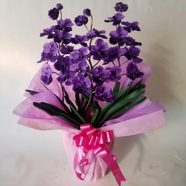 バンダラン　Ｖａｎｄａ　紫　Ｎｏ５（約高さ７０ｃｍ巾５０ｃｍ）