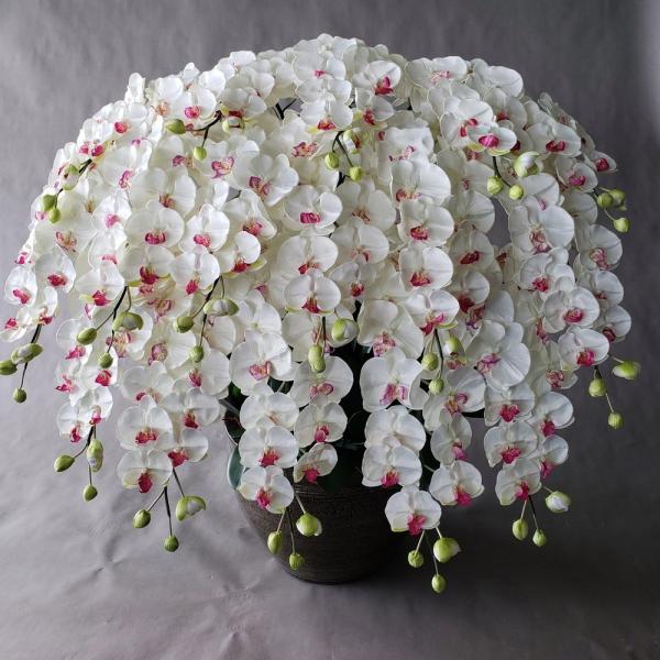 胡蝶蘭ＬＬ 16F　白（高120ｃｍ巾100ｃｍ）光触媒、造花，開花輪、蕾合計２７２輪。大型サイズで...