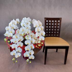 胡蝶蘭ロング５本白黄（高85ｃｍ）・胡蝶蘭・光触媒・造花・開店祝・結婚祝｜アイフラワー&グリーン