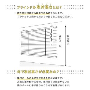 オーダー アルミブラインド/生地サンプル/TO...の詳細画像3