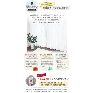 レースカーテン オーダーカーテン/生地サンプル...の詳細画像4