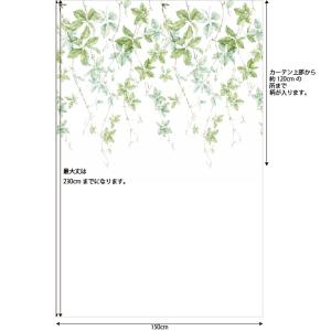 レースカーテン オーダーカーテン/生地サンプル...の詳細画像5