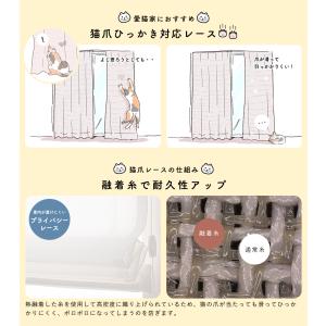 ローマンシェード シングル/生地サンプル/猫爪...の詳細画像5