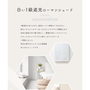 ローマンシェード ダブル/生地サンプル/柔らか...の詳細画像5