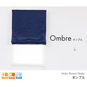 ローマンシェード ダブル/生地サンプル/深みの...の詳細画像4
