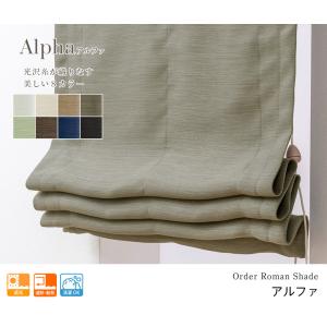 ローマンシェード シングル/生地サンプル/主張...の詳細画像3