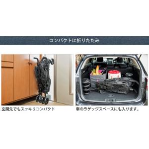 日本育児 タテ型2人乗りベビーカー デュオシテ...の詳細画像5