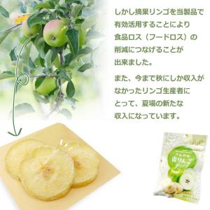 さわやか青りんご 30g ドライフルーツ りん...の詳細画像3