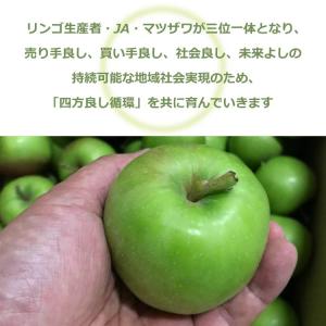 さわやか青りんご 30g ドライフルーツ りん...の詳細画像4