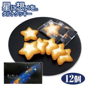 スター★ビレッジ阿智 星に想いを 12個入 タル...の商品画像