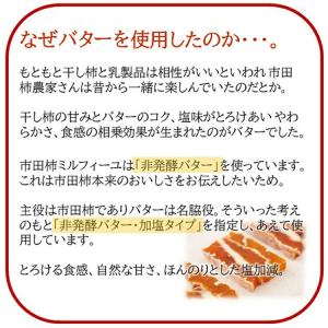 市田柿ミルフィーユ 100g 燻蒸タイプ プレ...の詳細画像3