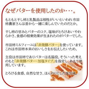 市田柿ミルフィーユ 燻蒸タイプ 100g 市田...の詳細画像3