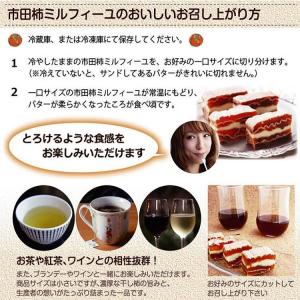 市田柿ミルフィーユ 燻蒸タイプ 100g 市田...の詳細画像4