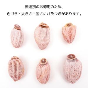 市田柿 干し柿 800g×3袋セット 自宅用 ...の詳細画像5