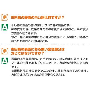 市田柿450g 長野県産 南信州産 干し柿 ほ...の詳細画像4