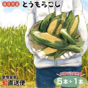 長野県 とうもろこしの商品一覧 通販 Yahoo ショッピング