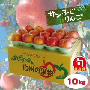 【お歳暮】南信州産 サンふじりんご 約10kg 信州産 長野県産 御歳暮 贈答用 産直 果物 お取り寄せ【収穫後順次発送】【ギフト】【99】