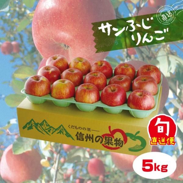 【お歳暮】南信州産 サンふじりんご 約5kg 信州産 長野県産 御歳暮 贈答用 産直 果物 お取り寄...