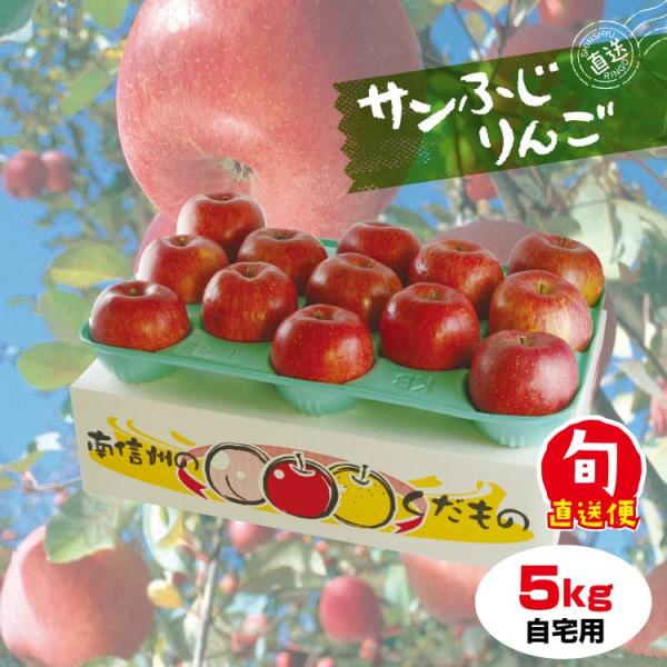【自宅用】南信州産サンふじりんご ご自宅用約5Kg 玉・サイズ不揃い 信州産 長野県産 御歳暮 贈答...