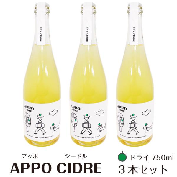 APPOシードルドライ750ml 3本 セット 辛口 果実酒 信州りんご クラフト酒 クラフトシード...